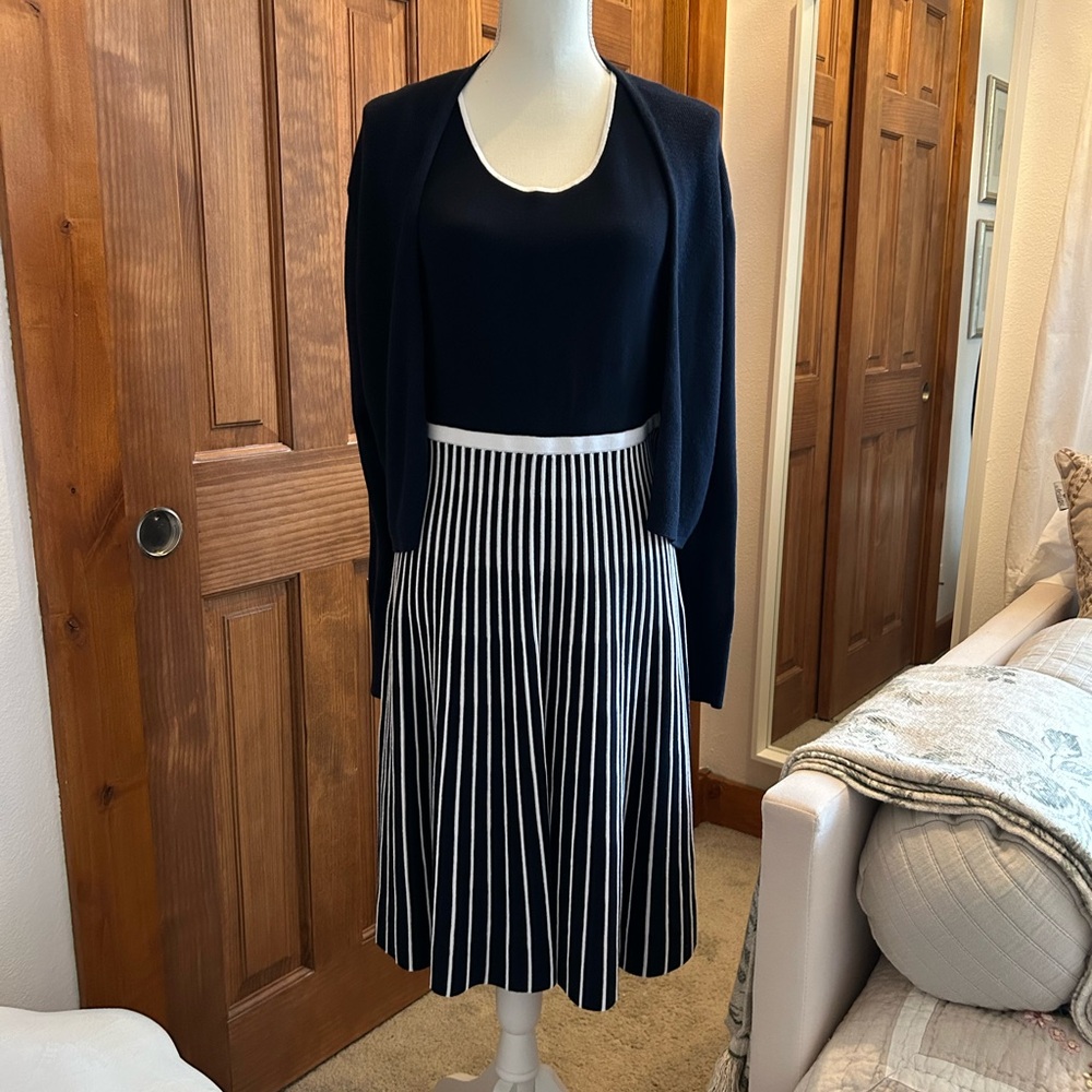 Banana Republic Navy and White Striped Dress with Cardigan